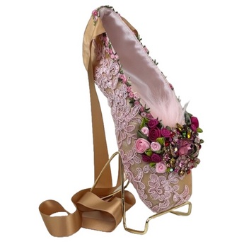 Pretty in Pink Diamandpointes Ballet Shoe